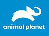 Animal Planet