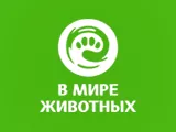 В мире животных